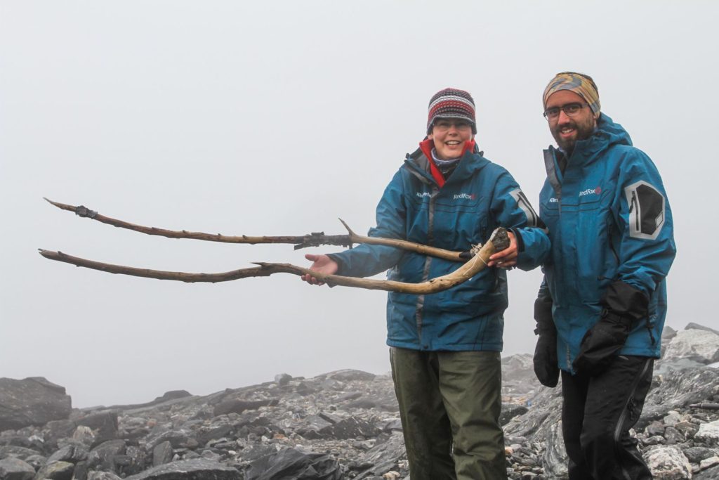 A tång found in the mountain pass at Lendbreen in 2011