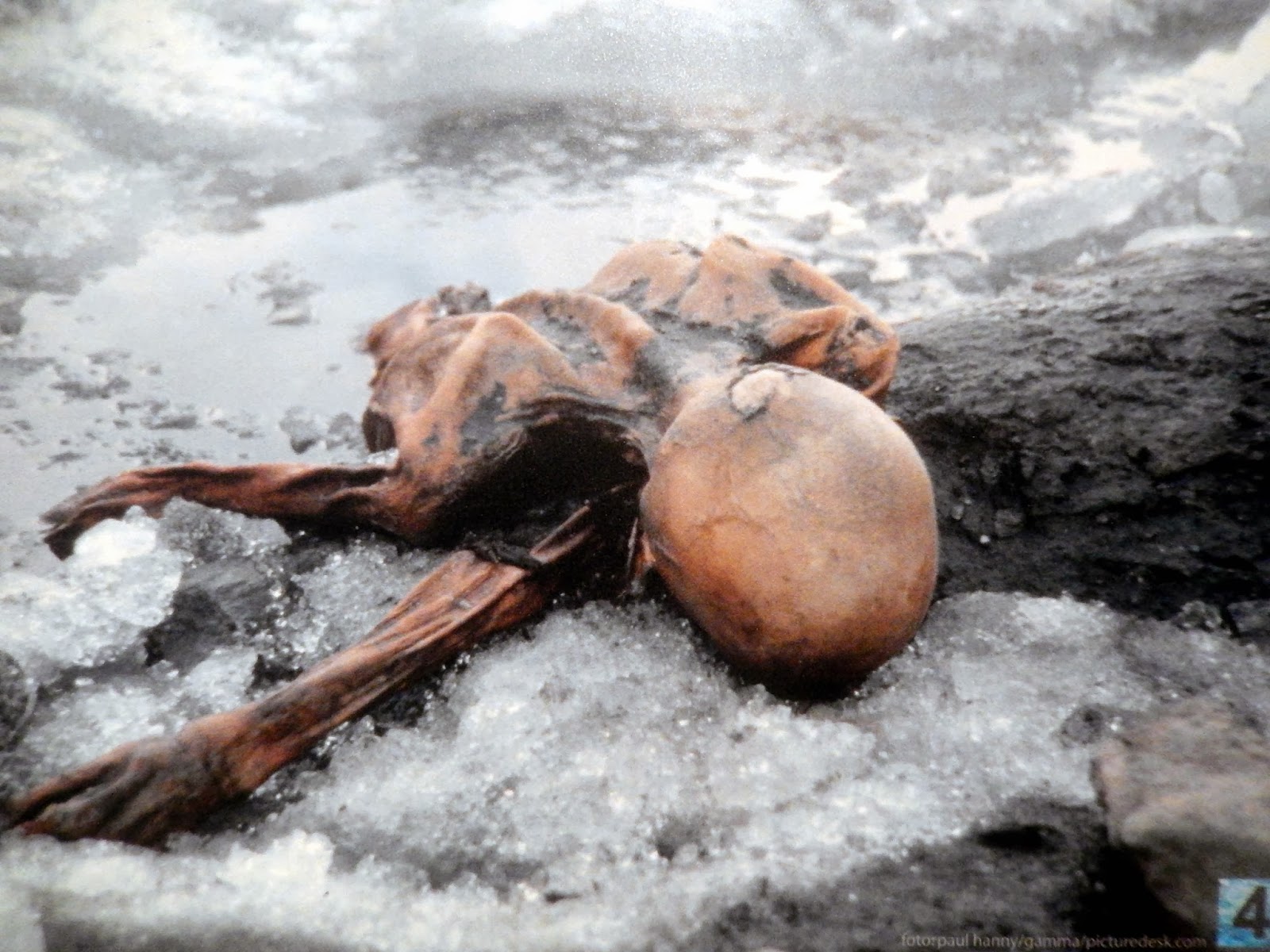 frozen human fossils