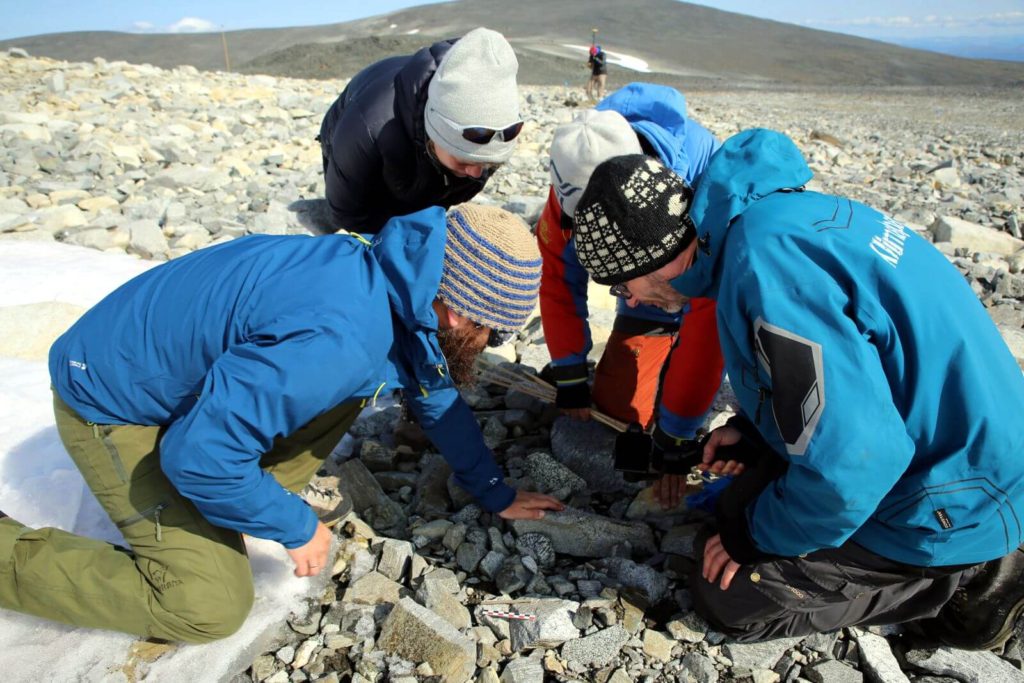 Bronze Age Arrows and a Viking Sword – The 2017 Fieldwork Was Awesome!