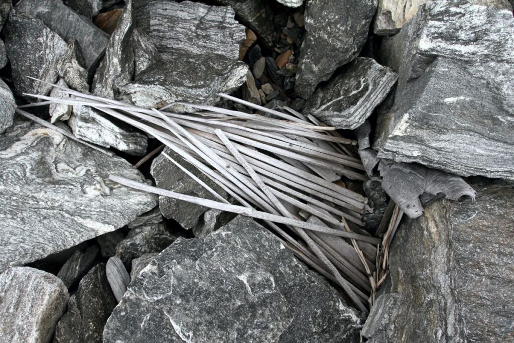 The scaring stick cache at Åndfonne, a key find in 2010.