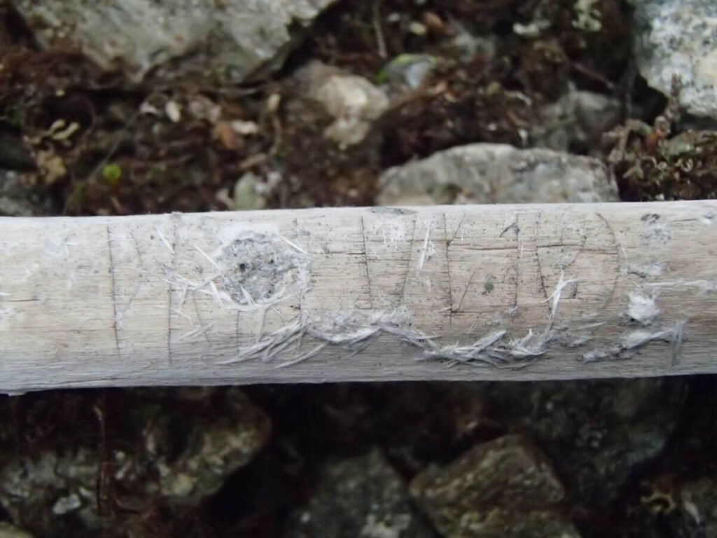 Runic inscription